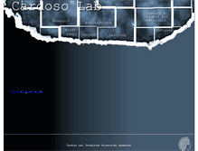 Tablet Screenshot of cardoso-lab.org